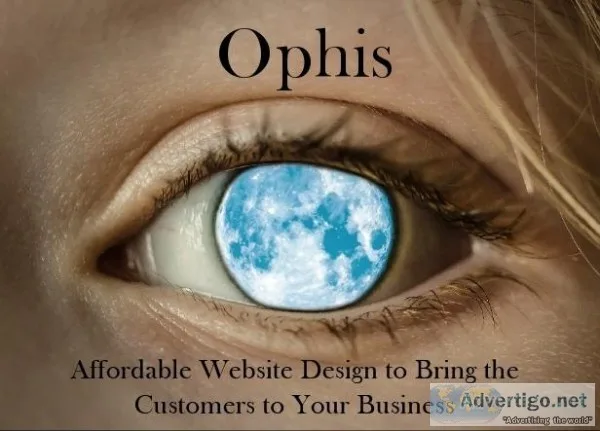 Cheap Sophisticated Website Built Fast