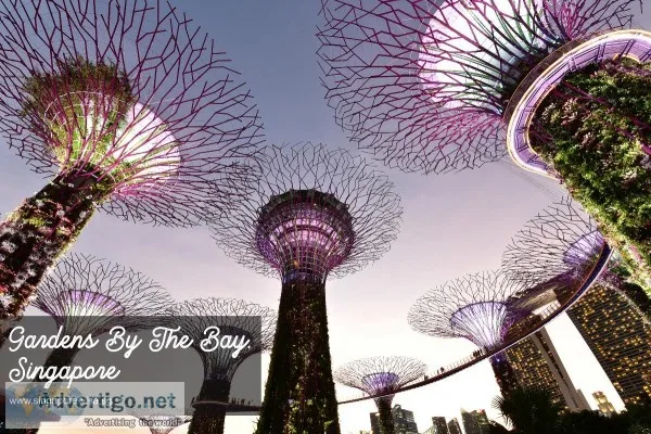 Official Singapore eVisa Online Application Center