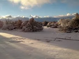 2.5 acres in arizona