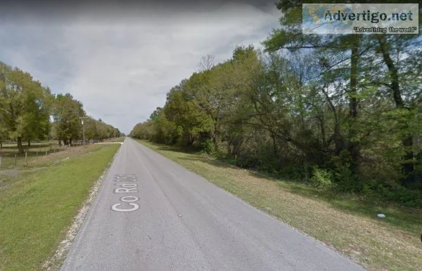 2 Acres for Sale in Cross City FL - Owner finance