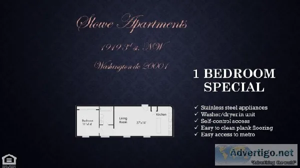 One Bedroom Apartment  The Slowe