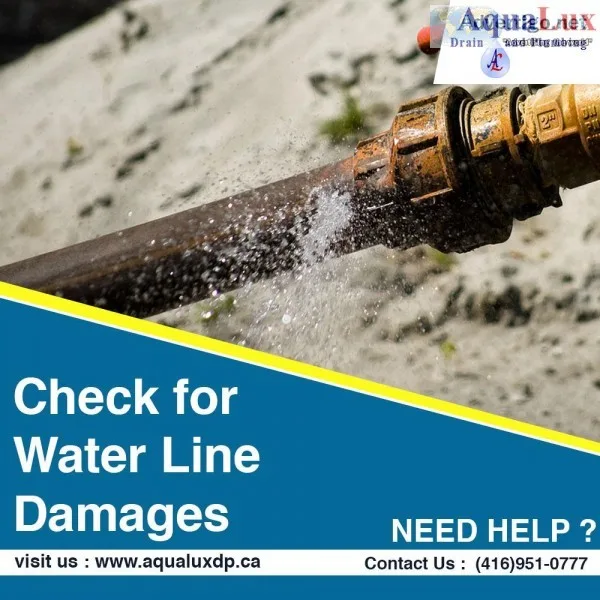 Amazing Plumbing Services for Building the Foundations of Good P