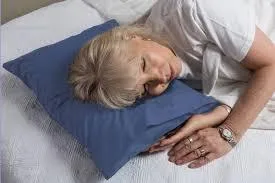 Goose Down Travel Pillow