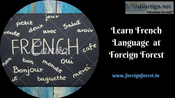 Get Amazing French Classes at Forest Foreign
