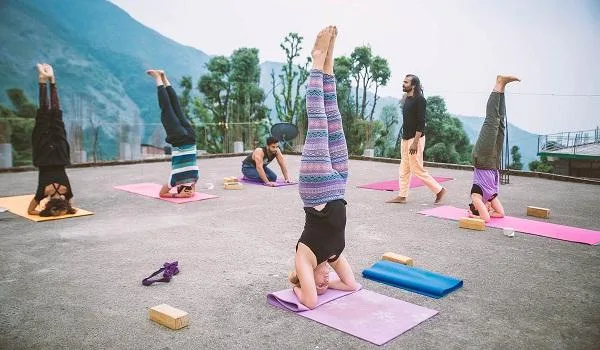 Yoga Teacher Training Diploma India