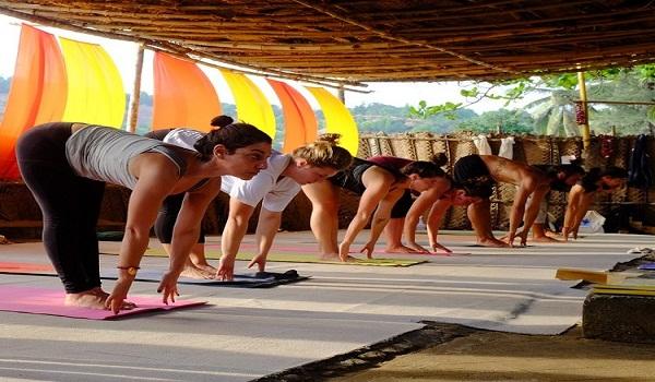 Best Yoga Teacher Training in Dharamsala India