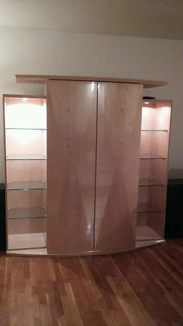 Beautiful Lacquered Entertainment Center