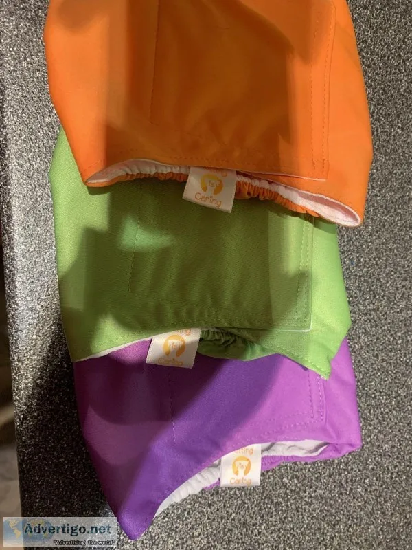 Male dog wrap Medium