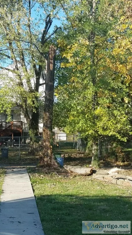 Wood for fire in home