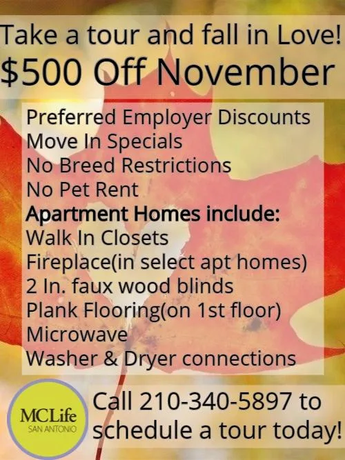 Today s Special Get 500 OFF November