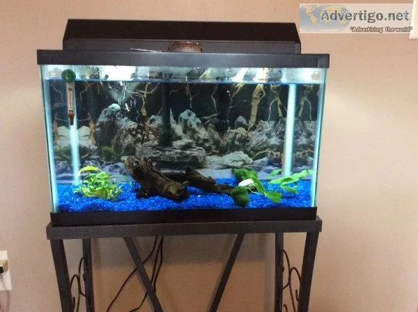 Complete ten gal. Set up