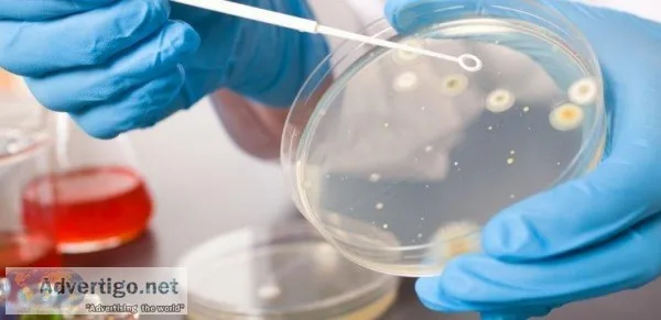 Msc Microbiology Courses in India