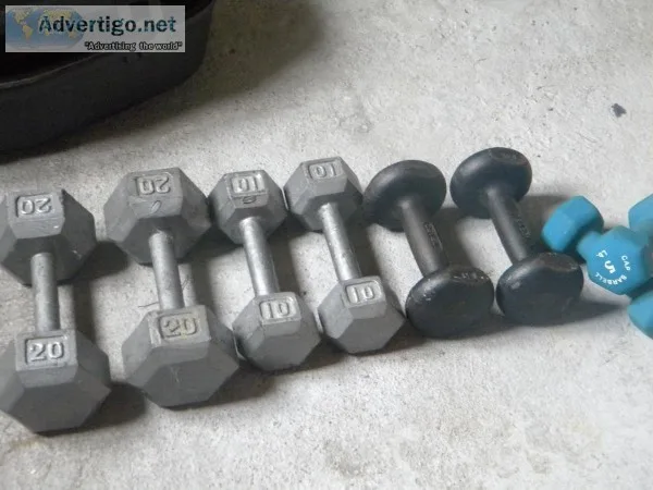 Hand Weights