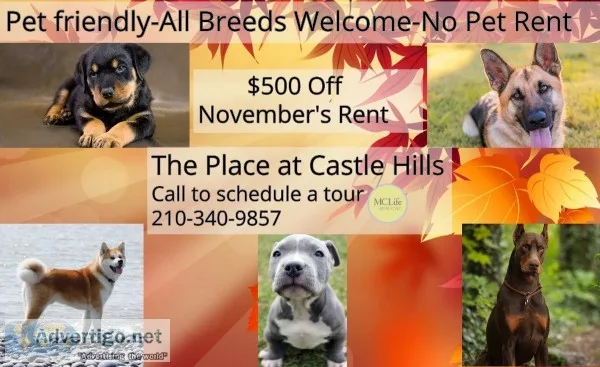 Pet Friendly-No Breed or Weight Restrictions