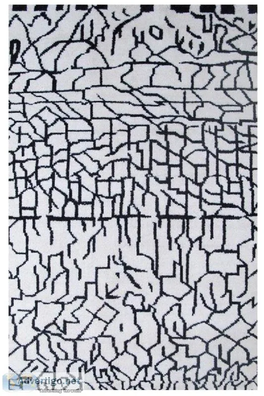 Dual BW Beautiful Moroccan Rug