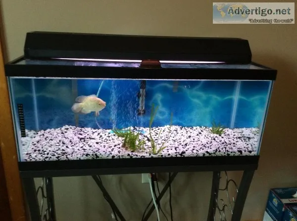Twenty gal tank and stand