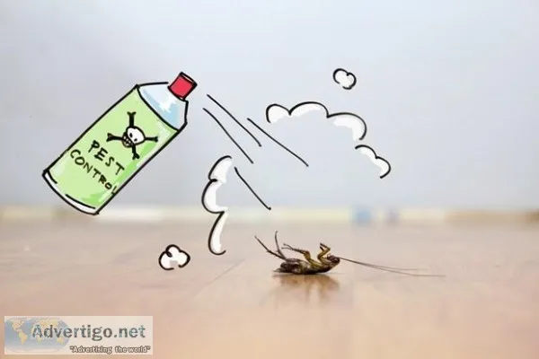 PEST CONTROL Services in FARIDABAD