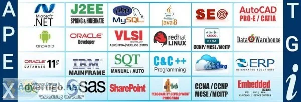 AWS Training in Noida - APEX TGI