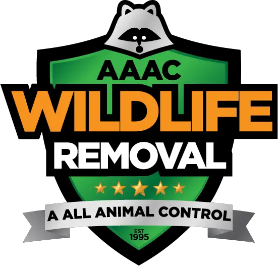 AAAC Wildlife Removal San Antonio  Help You to Get Rid of the Wi
