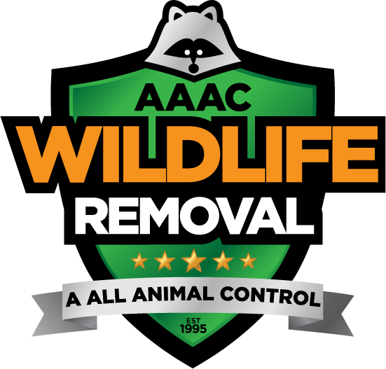 AAAC Wildlife Removal San Antonio  Help You to Get Rid of the Wi