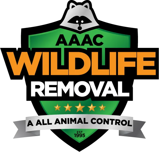 AAAC Wildlife Removal San Antonio  Help You to Get Rid of the Wi