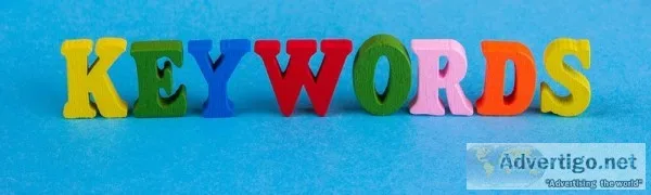 What are Long Tail Keywords  SEO Experts