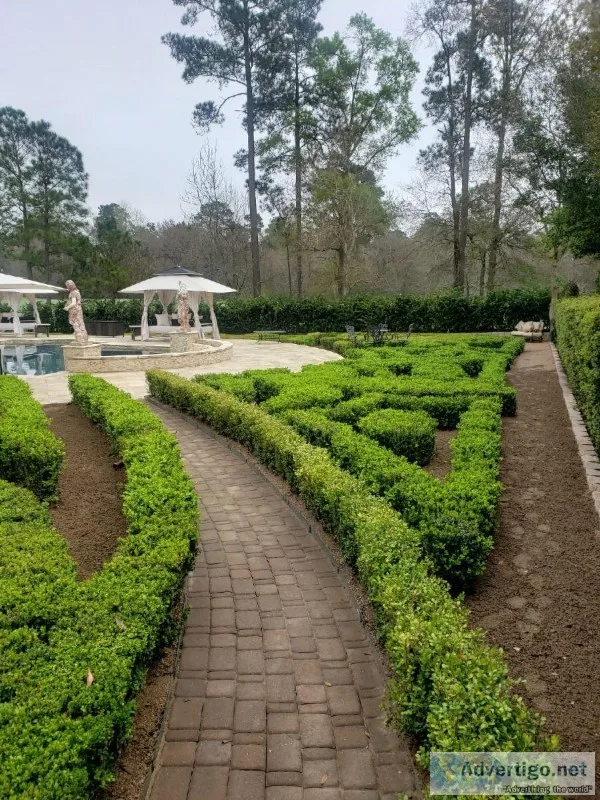 Landscape and Maintenance