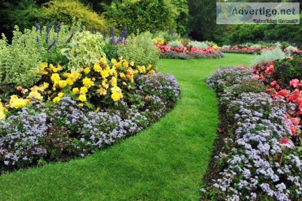 Professionals for Landscaping in Richmond Hill