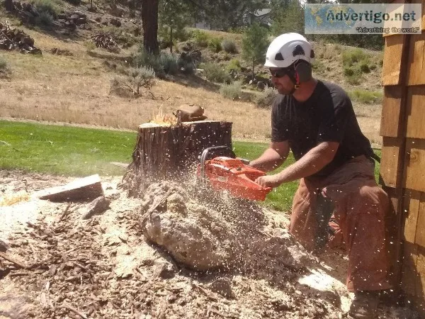 Tree work for everyone