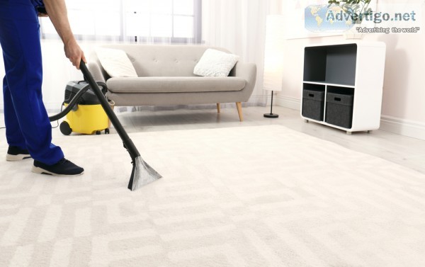 Best Carpet Cleaning Company in Parker CO