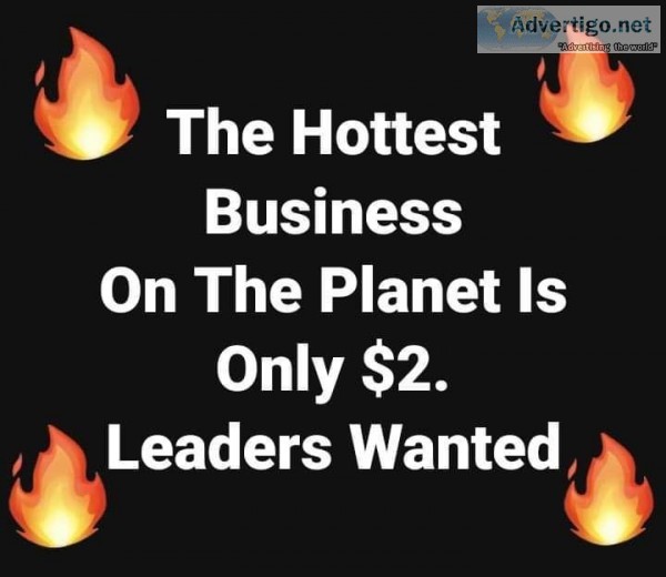 NEW Pocket Change Business Explodes Overnight