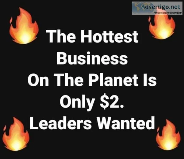 NEW Pocket Change Business Explodes Overnight