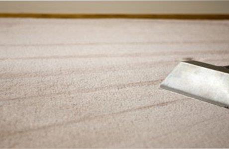 Carpet Cleaning Gold Coast - Ezydry Carpet Cleaning