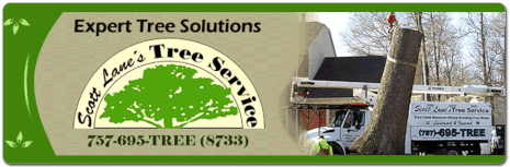 Scott Lanes Tree Service