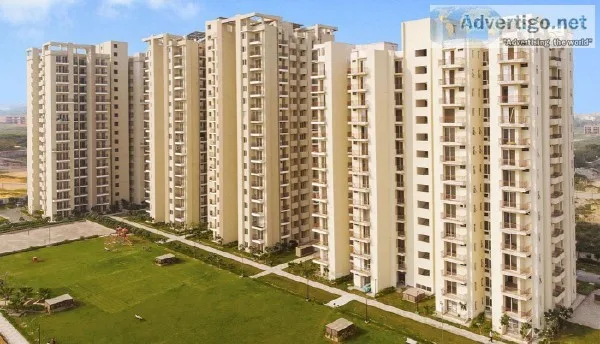 Luxury floors in RPS Auria Residences Faridabad