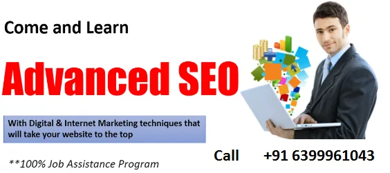 Best SEO Training Institute in Delhi NCR Learn Step by Step