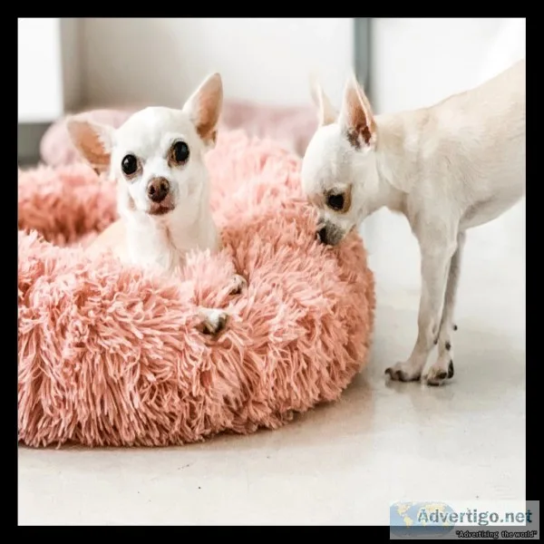 Plush Fur Dog Bed 50% OFF  FREE SHIPPING