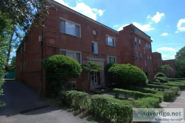 1 bedroom spacious on bus line in beautiful Squirrelhill