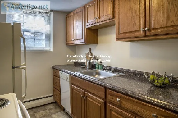Brattle Dr Arlington 2BED apt for rent