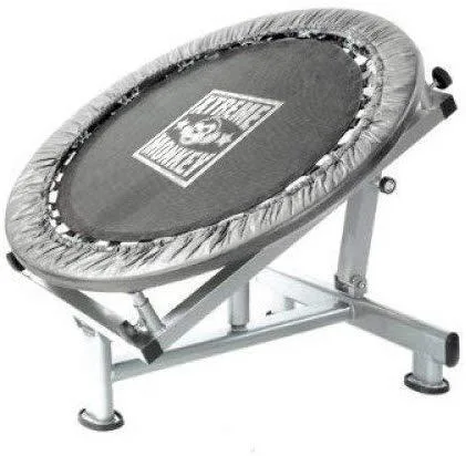 Xtreme Monkey Medicine Ball Rebounder New in Box