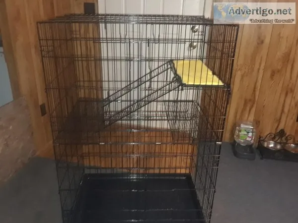 Cat cage