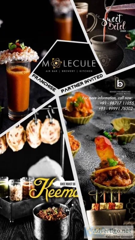 Best Molecule Air Bar Franchise Opportunity