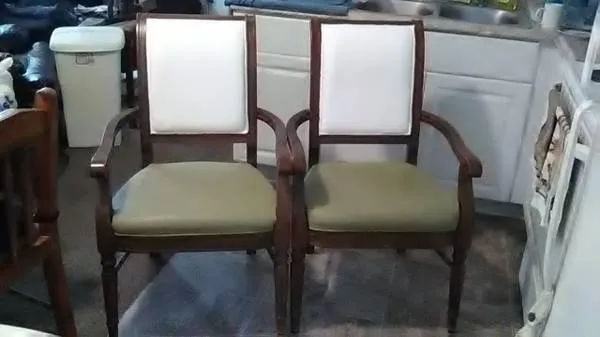 Two Dining Room Chairs