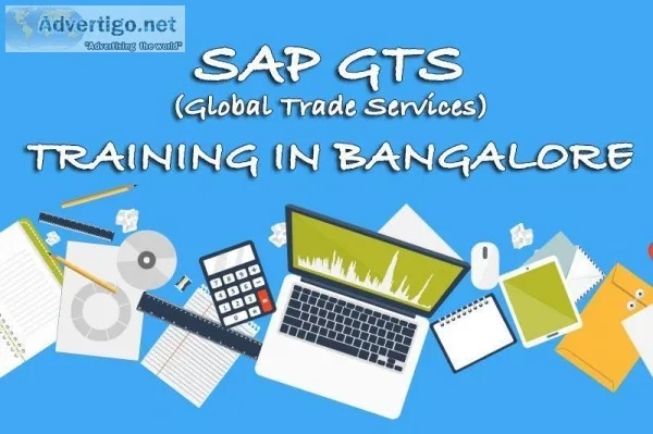 SAP GTS Training in Bangalore