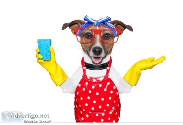 Are you looking for any cleaningdogwalking petsiitingbabysitti n