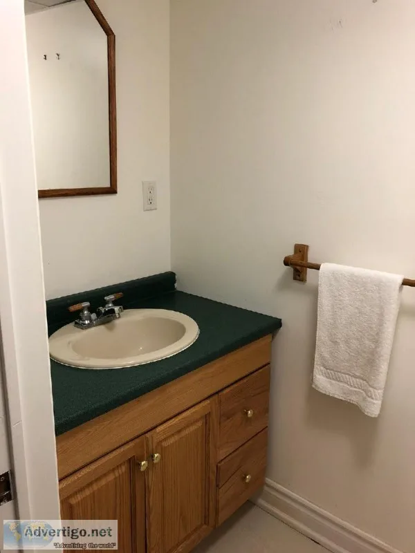 One bedroom basement apartements for rent