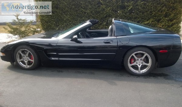 CORVETTE 2004 C5M6