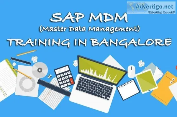 SAP MDM Training in Bangalore