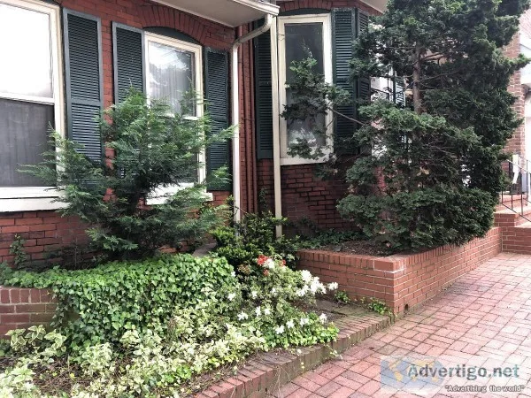 Need Help setting up a Delaware Office in downtown Wilmington
