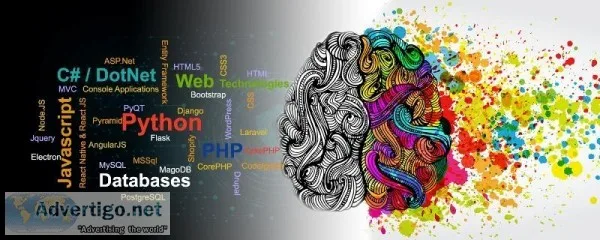 TAS - No 1 Website Design and Development Company in Delhi India